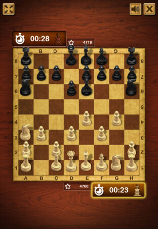 Master Chess Master Chess